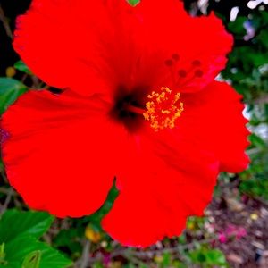 Meet your Posher, Isabelle